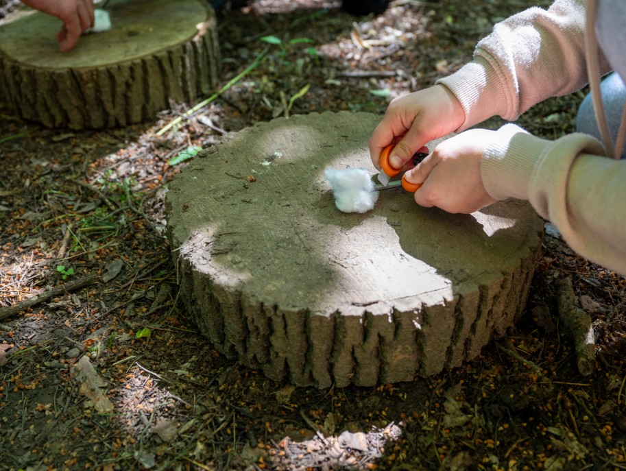 making a camp fire on year 4 trip